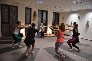 Power joga